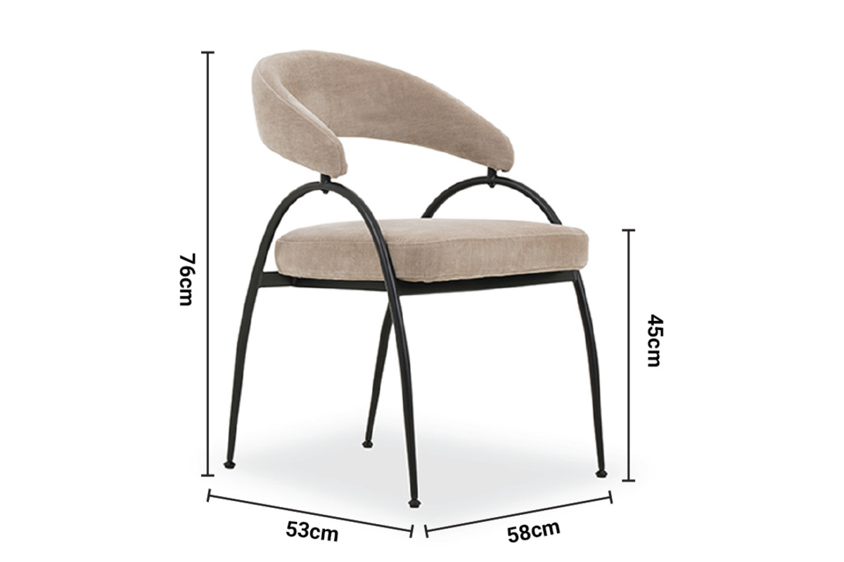 Belvedere Dining Chair dimensions
