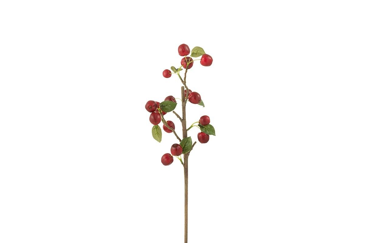berry-branches-1