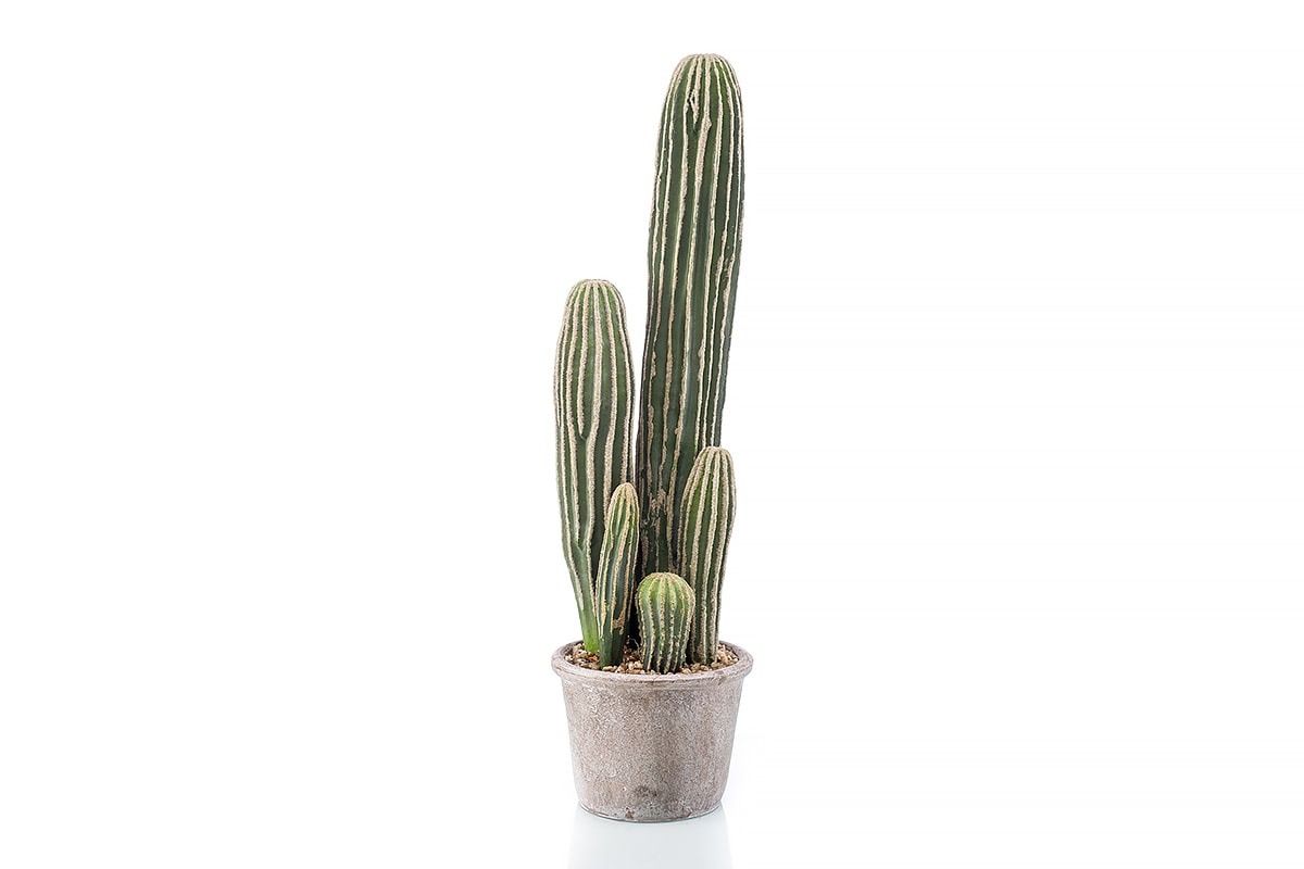 Cactus In Cement Pot 57cm