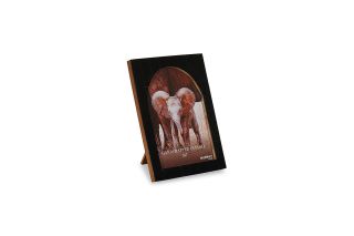 Arched Frame Black 5x7In