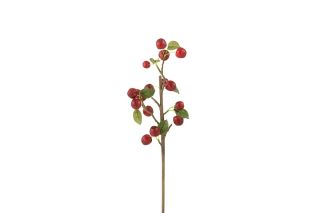 berry-branches-1