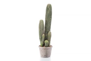 Cactus In Cement Pot 57cm