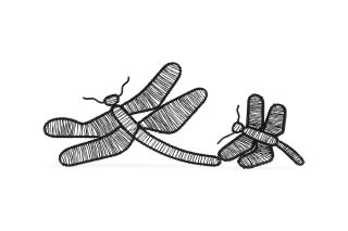 Wired Dragonfly Ornament Set